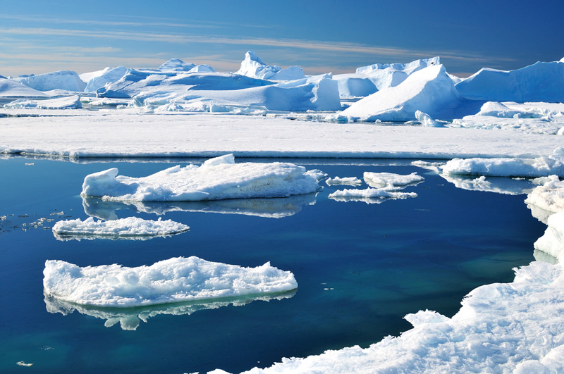 Melting Sea Ice Spurs Algal Seaweed Growth in Antarctica | Live Science