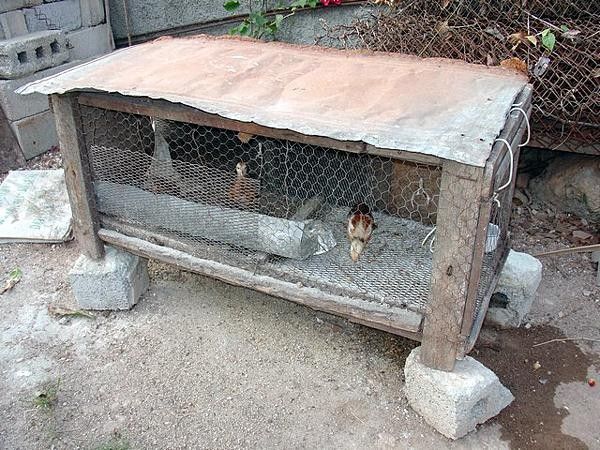 This chicken coop