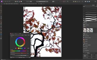 Affinity software used to edit an autumnal image