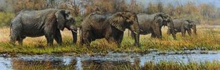 Elephants by Tony Forrest