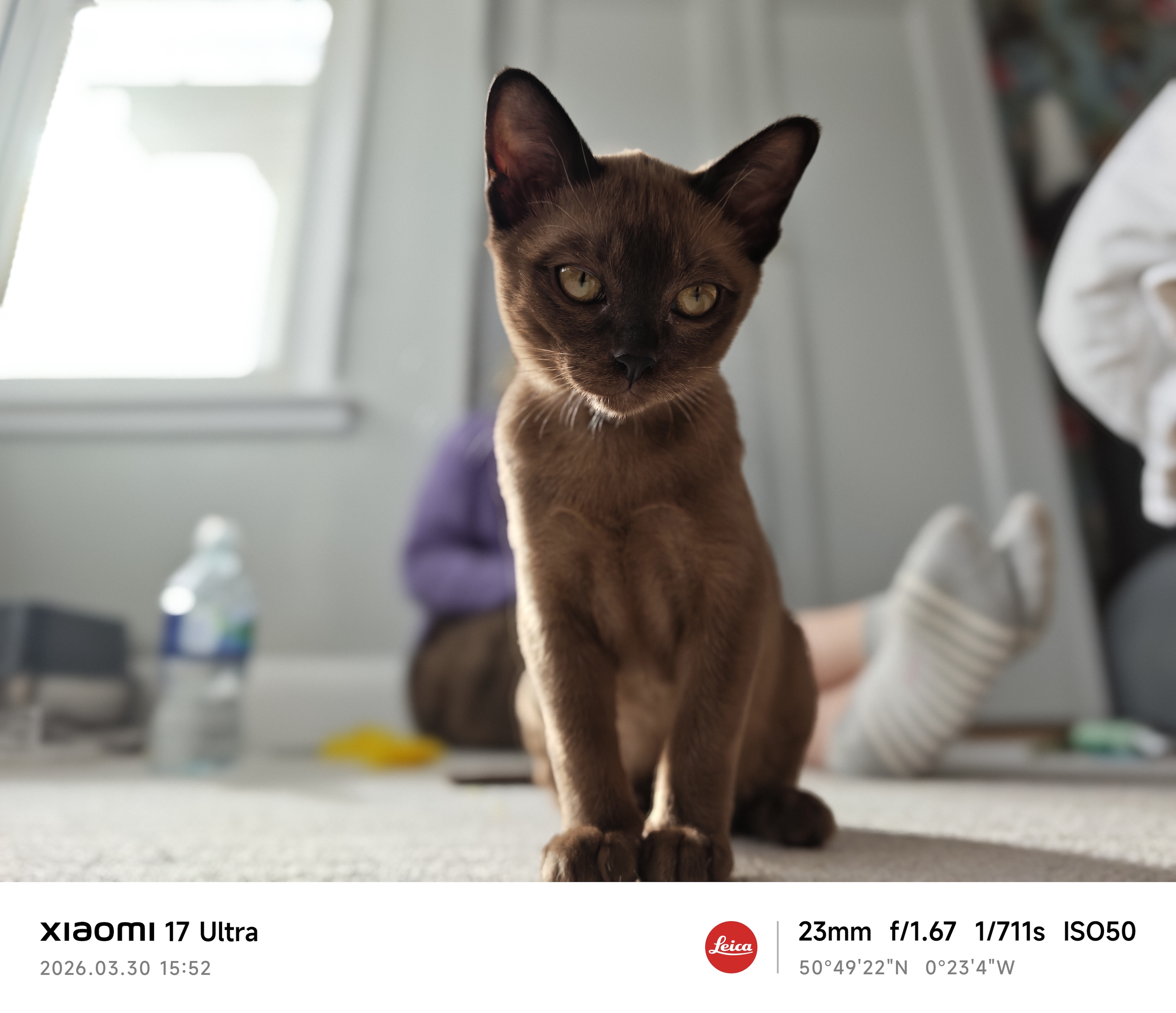 Xiaomi 17 Ultra camera sample kitten portrait