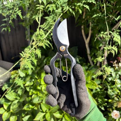 Gloved hand holding Niwaki Sentei Secateurs in garden