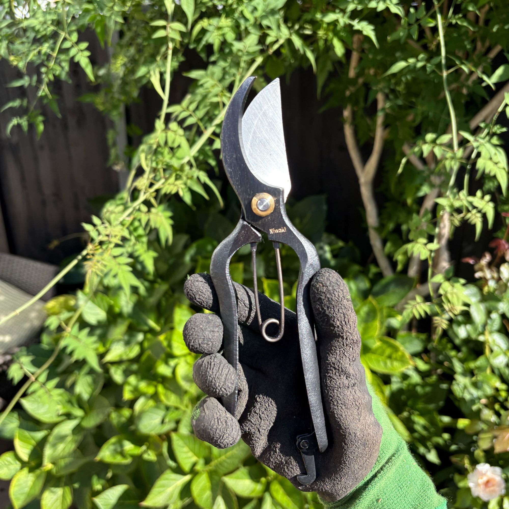 Gloved hand holding Niwaki Sentei Secateurs in garden
