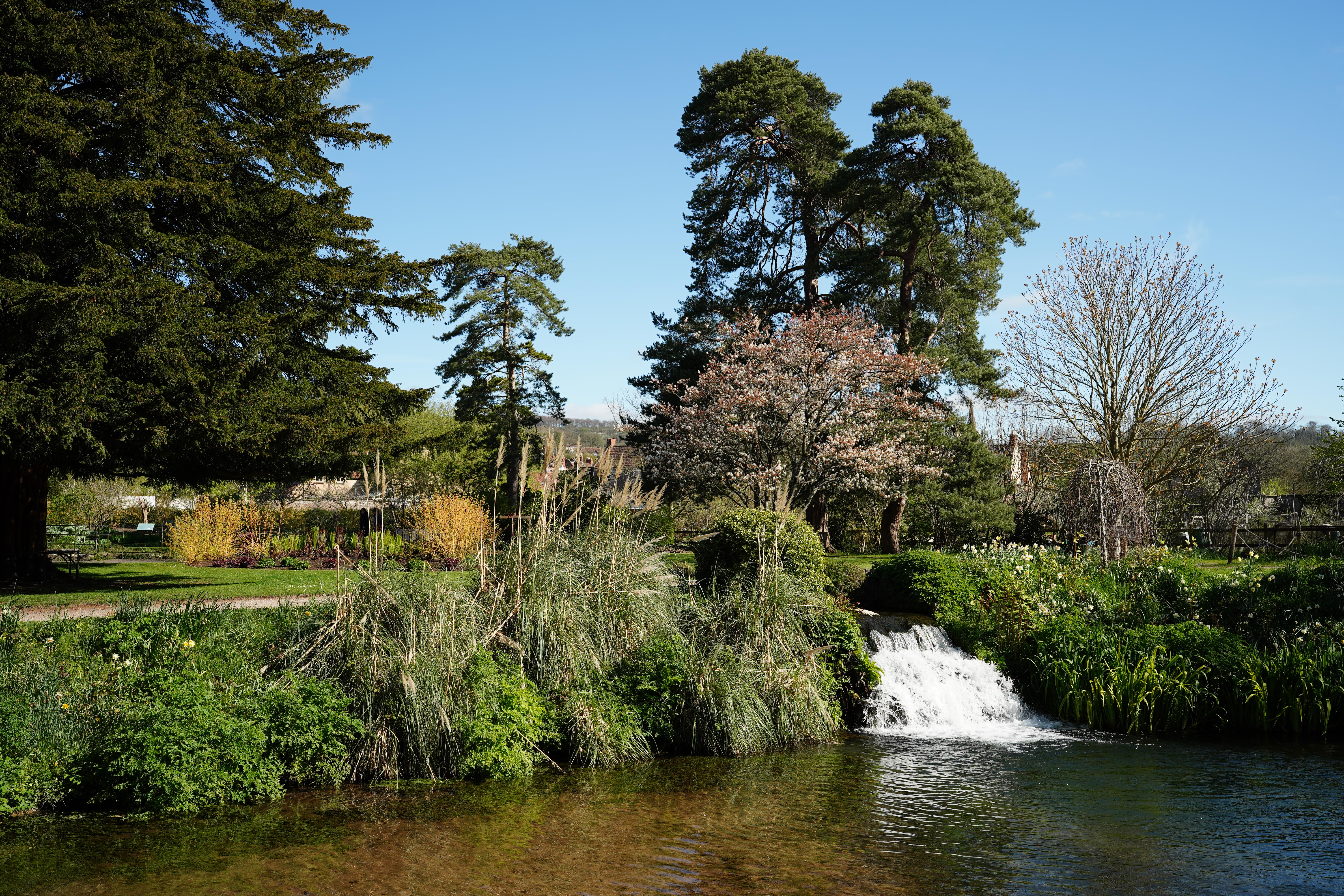 Sigma 35mm f/1.2 DG II Art sample image