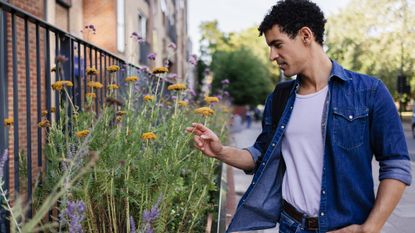 Man looking at flowers on city street