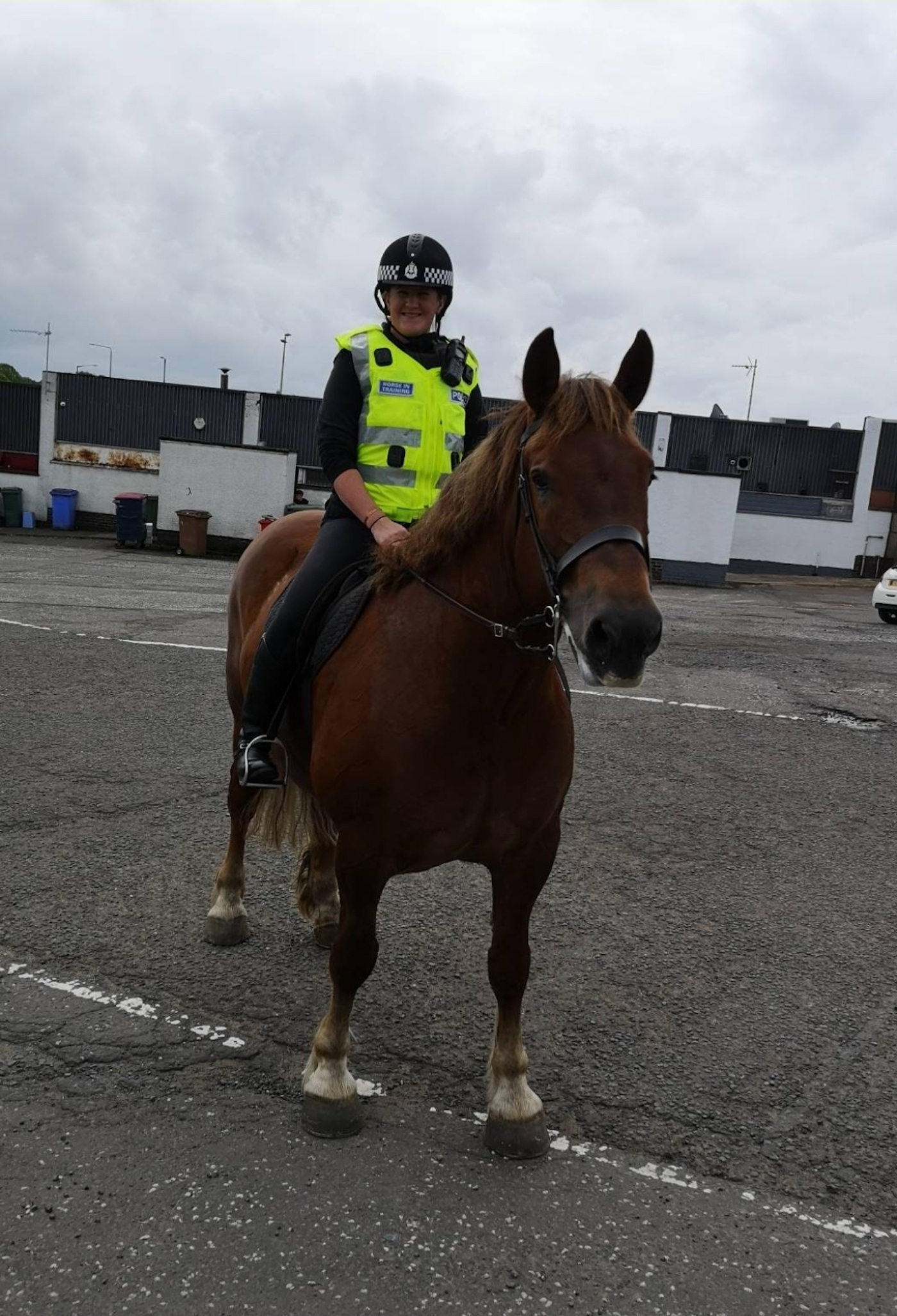 Police-horse-Rose.jpeg
