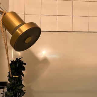 the Jolie filtered showerhead