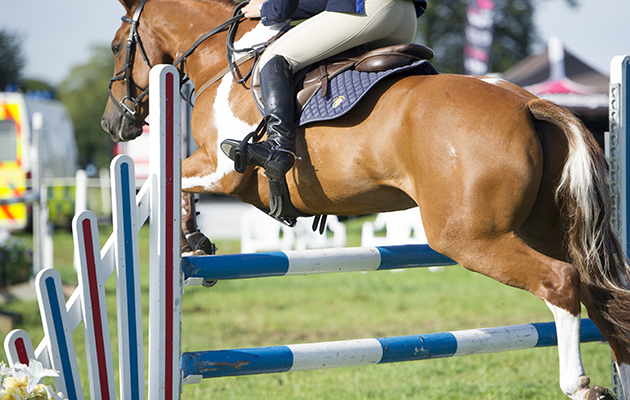Aurelia Marcus and Ballinaclough Bentley