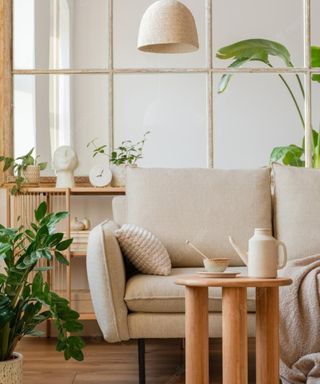 An image of a neutral living room with a wooden coffee table, cream coch and house plants in the foreground and a storage shelf unit in the background