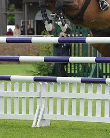 Hickstead-jump.jpg