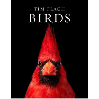 Birds by Tim Flach book cover