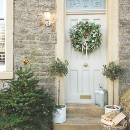 Small christmas tree, two potted trees and festive wreath on a grey door.