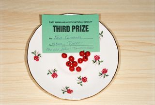 Someone occupied for third prize