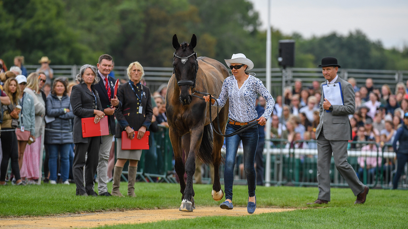 Burghley Horse Trials final trot-up: Sarah Clark and LV Blue Jeanz