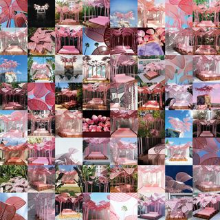 Collage of pink leaf images