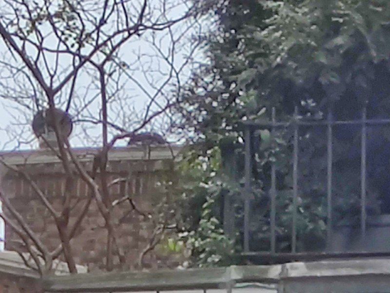 OnePlus 8 Pro camera 30X