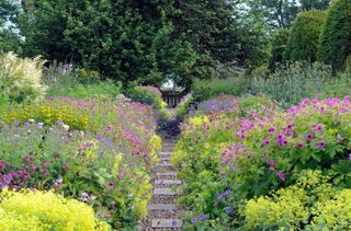 stepping stone ideas: pathway between two large flowering borders