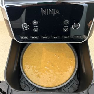 Testing the Ninja Air Fryer MAX PRO