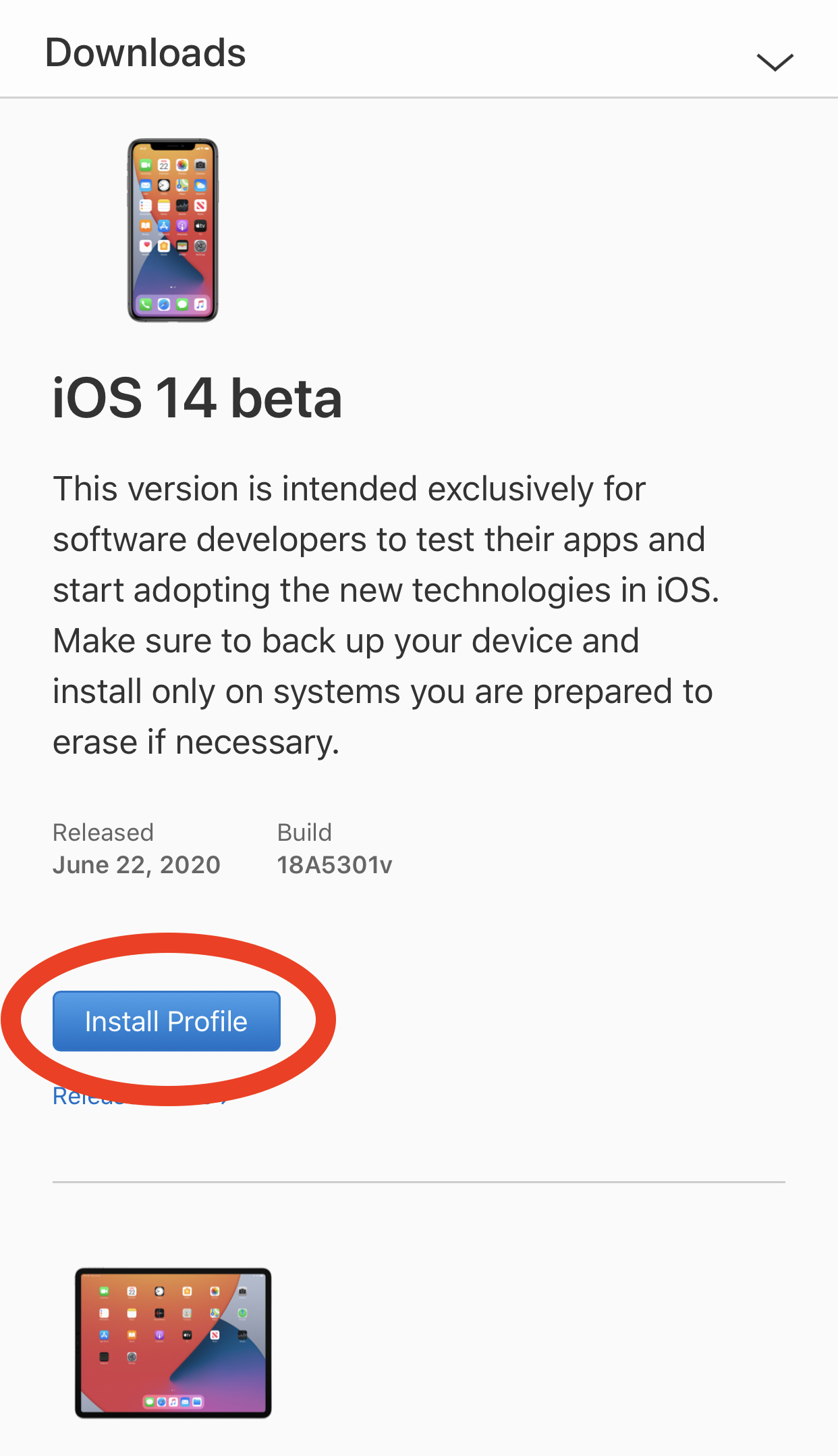 how to get iOS 14 beta