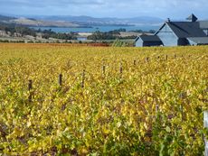 Tasmania
