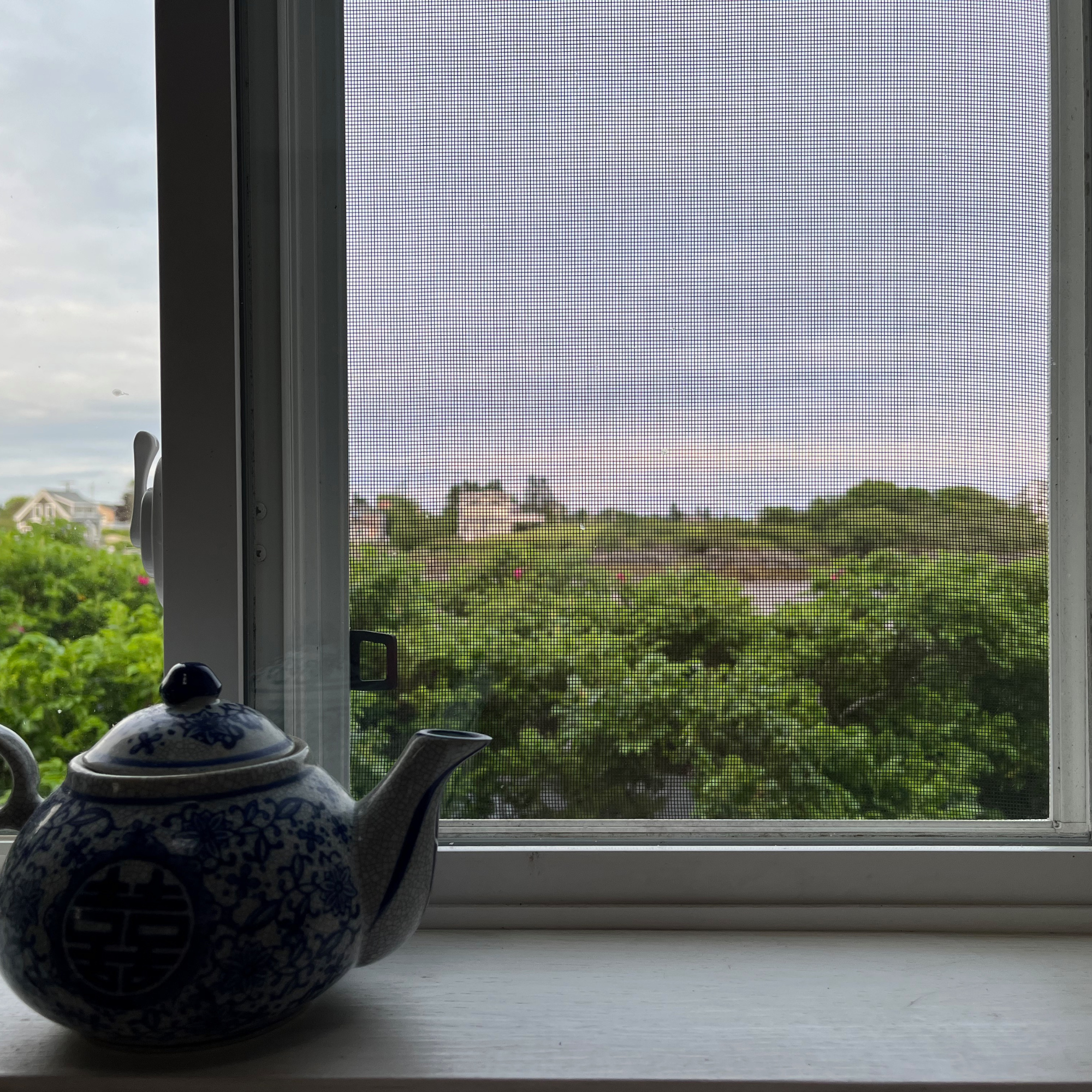 Tea pot in a windowsill with fly screen.