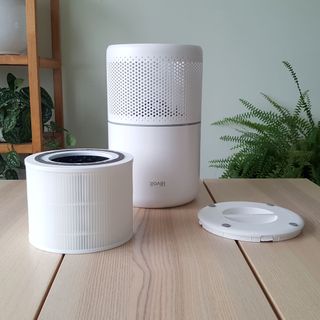 The Levoit Core 300S air purifier being tested in a room with a wooden table, green walls, and plants
