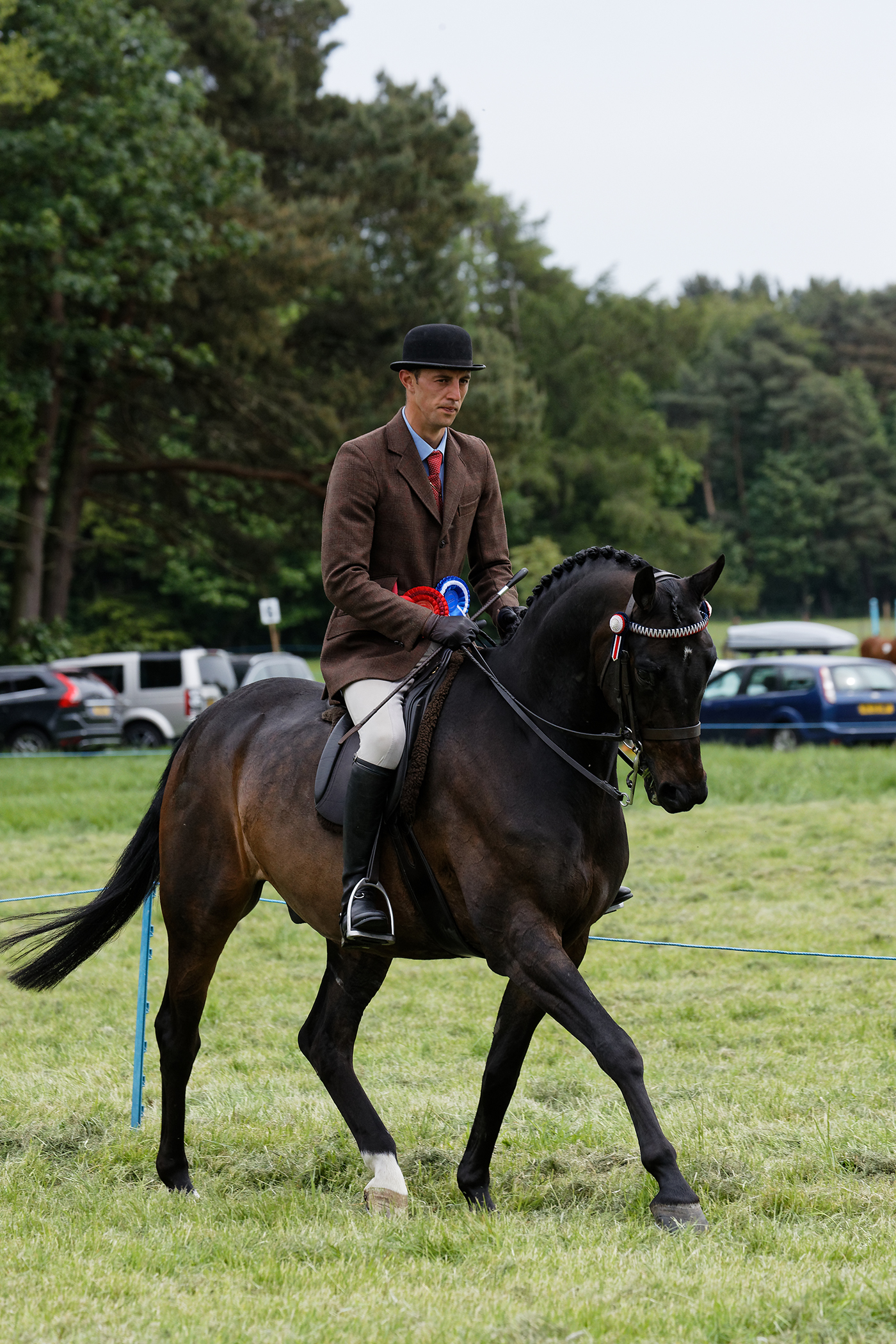 HACK CHAMPIONSHIP RESERVE 734 MARQUE OF DISTINCTION R: Dean Shaw