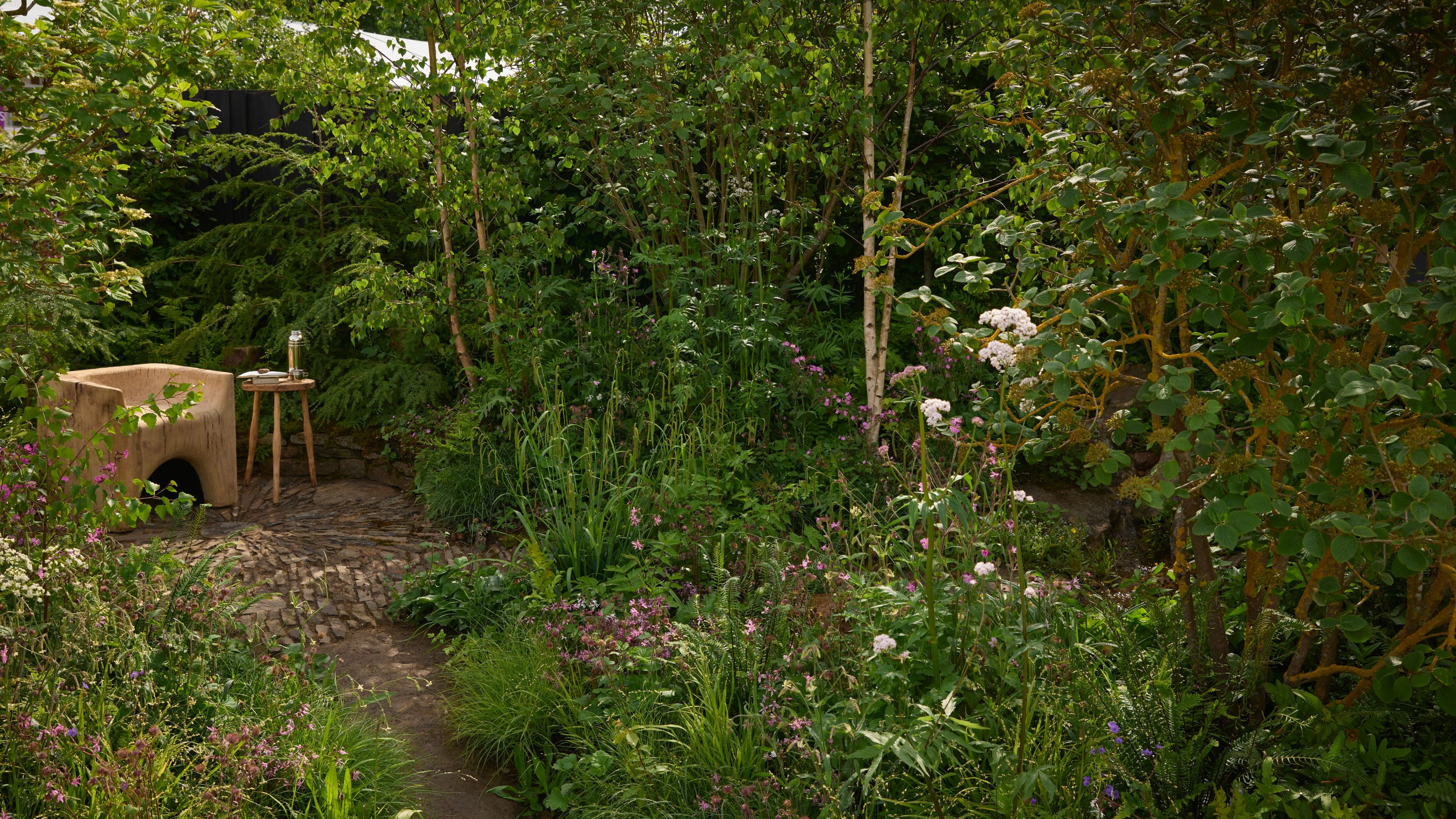 Woodland Trust: Forgotten Forests Garden at the RHS Chelsea Flower Show 2026