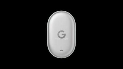 Google Pixel Tag leak