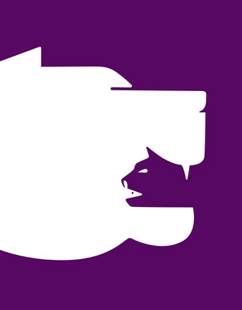 Purple poster 'SML'