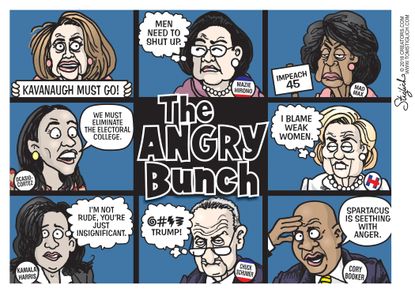 Political cartoon U.S. Brady Bunch angry Democrats Brett Kavanaugh