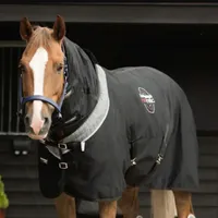 Equilibrium Magnetic Rug –RRP £195, now £146.25 Equilibrium Magnetic Rug –RRP £195, now £146.25