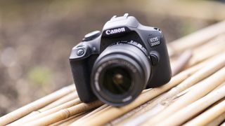 Et systemkamera av typen Canon EOS 2000D liggende på bambus utendørs.