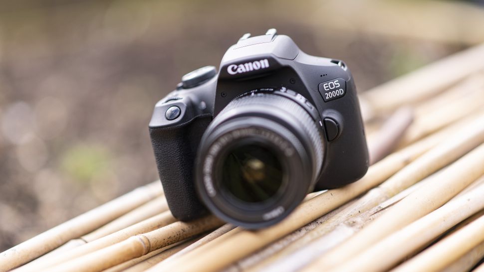 Best beginner DSLRs for 2024 top cameras for new photographers TechRadar