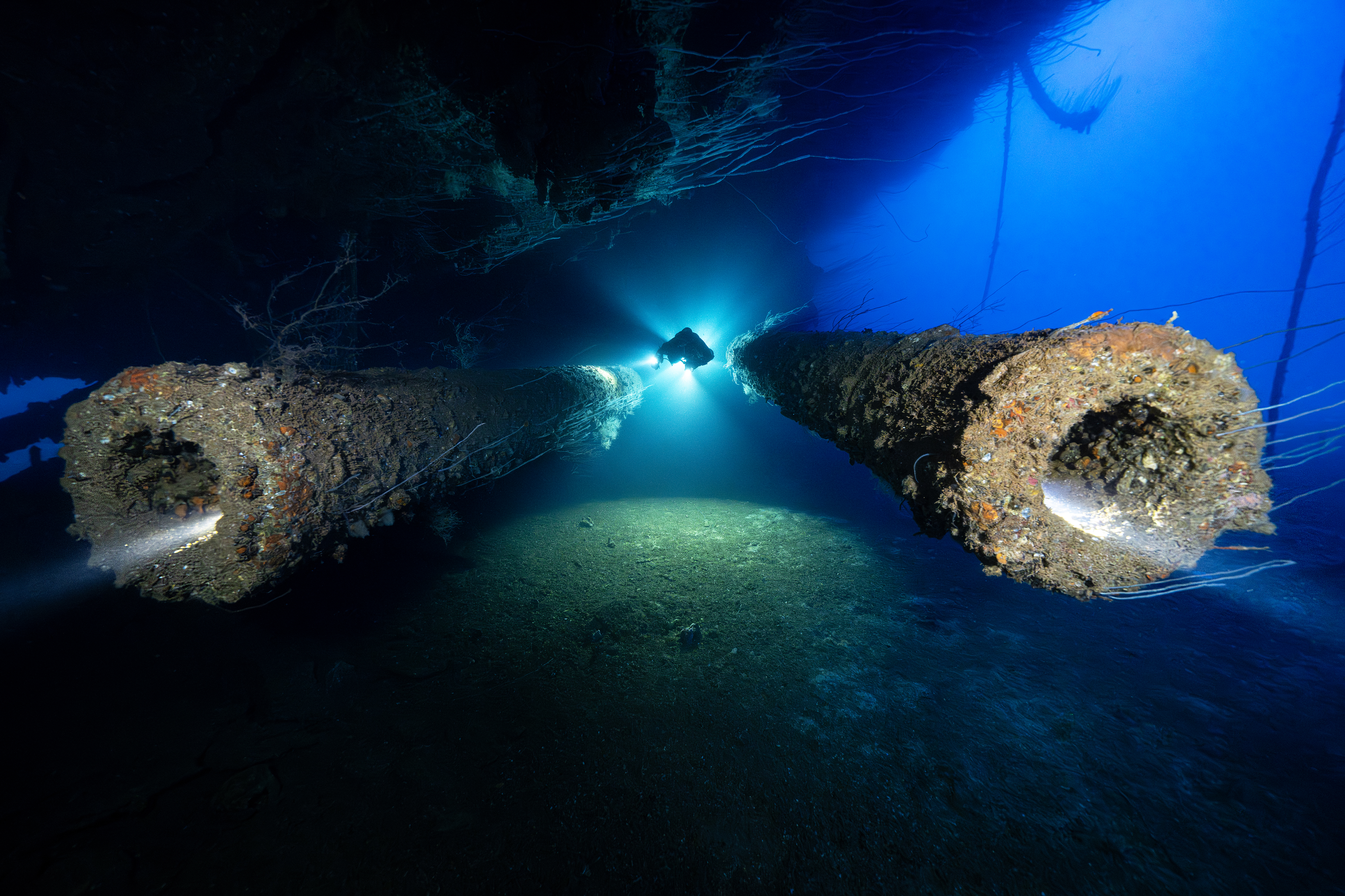 A diver explores a shipwreck