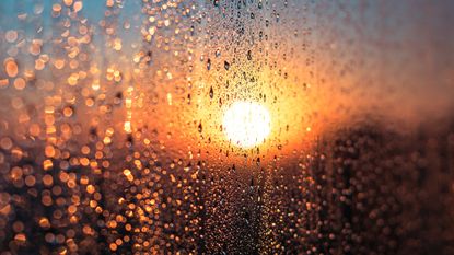 Condensation on window with morning sun shining through