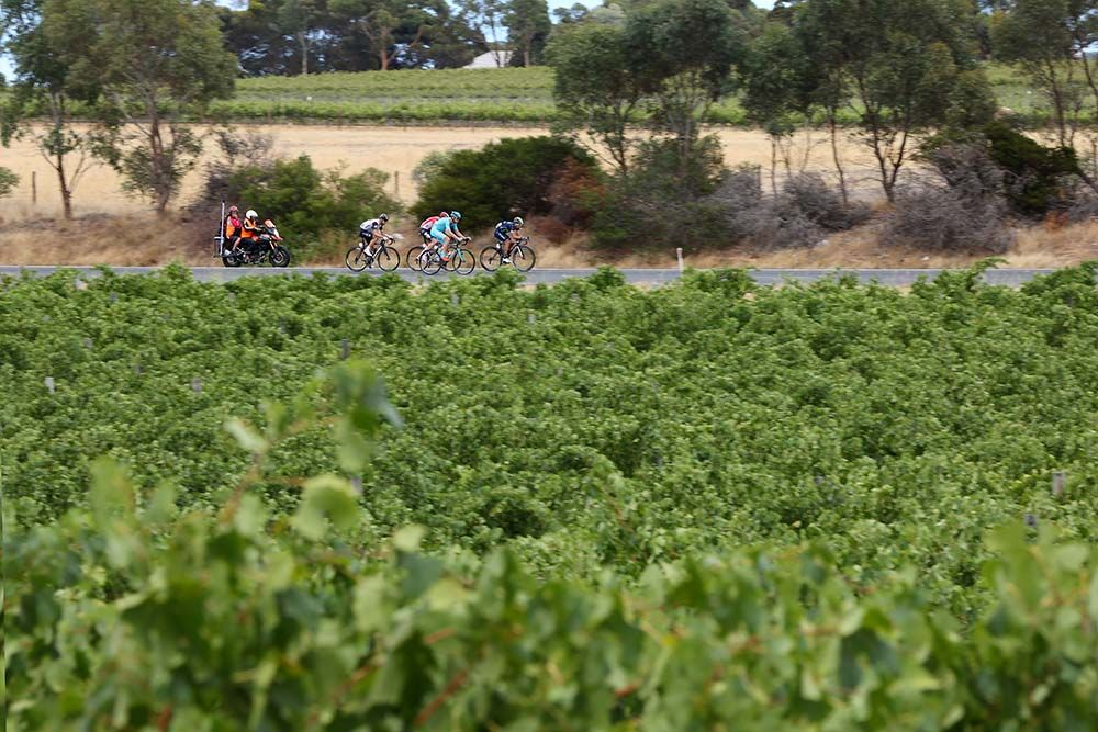 The stage again passed through the Australian vineyards