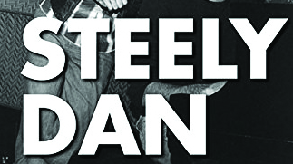 Coer art for Steely Dan FAQ by Anthony Robustelli