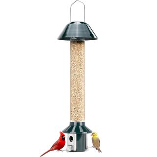 Roamwild PestOff 2.0 Squirrel Proof Wild Bird Feeder