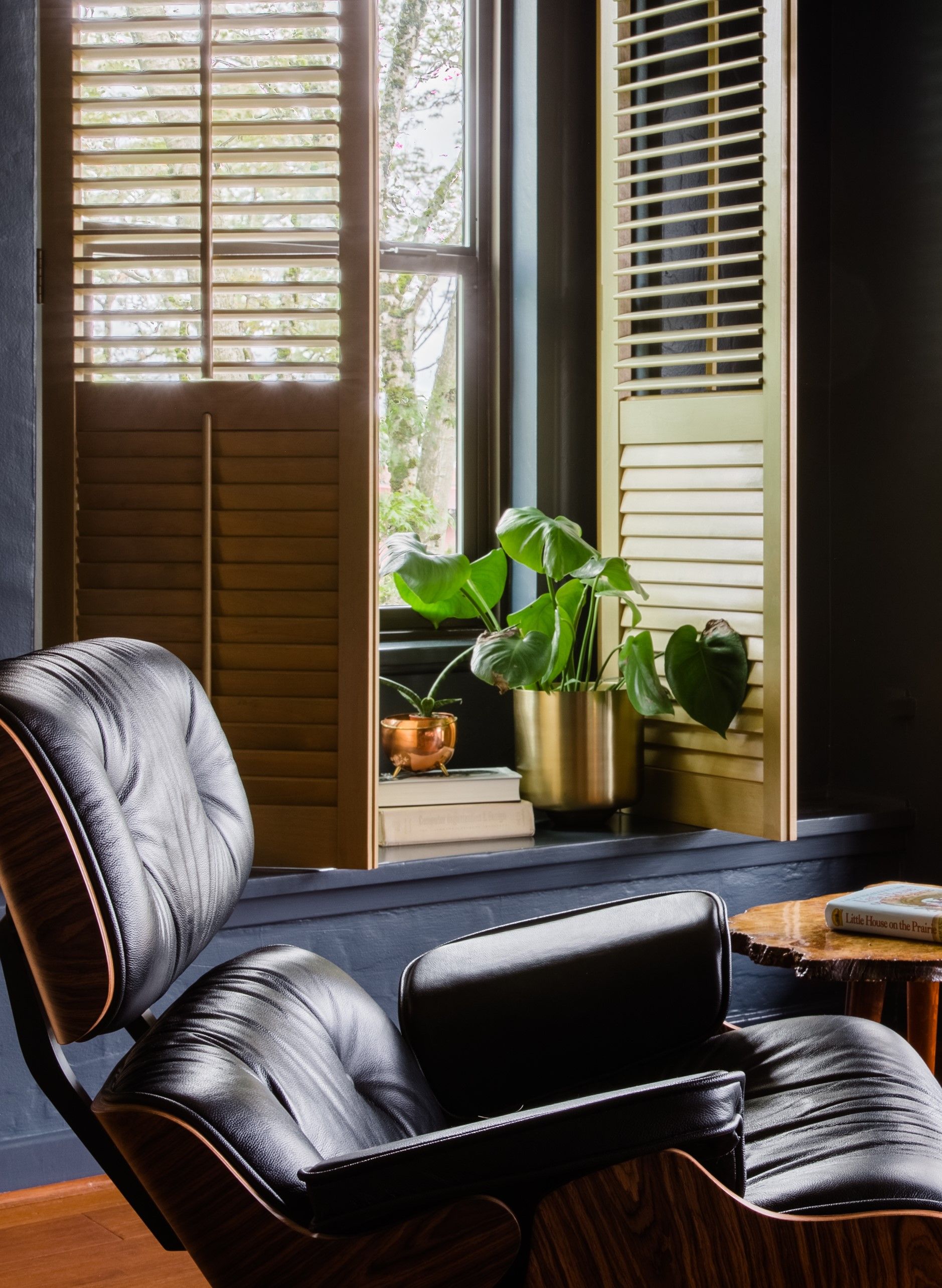 A potos plant kept in the window sil of a study