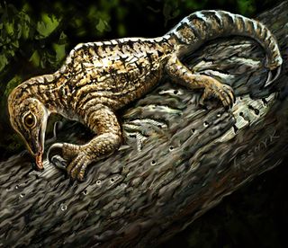 212 million years ago in what is today New Mexico, a Drepanosaurus used its massive claw and powerful arm to rip away tree bark and expose the insects within.