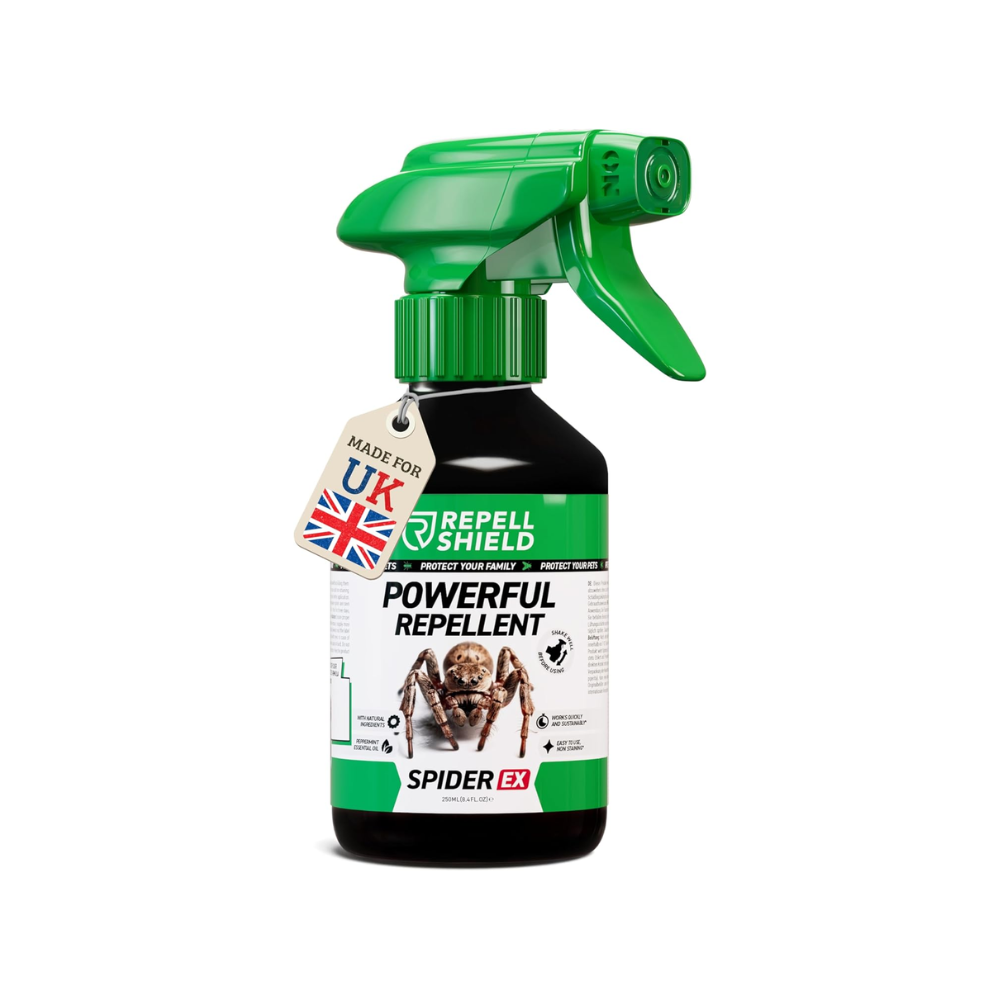 RepellShield Spider Repellent Spray