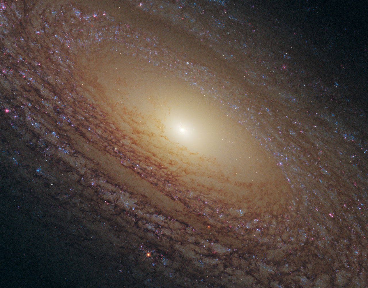 The galaxy NGC 2841 — shown here in a Hubble image — currently has a relatively low star formation rate compared to other spirals. It is one of several nearby galaxies that have been chosen for a new study, in which scientists are observing a variety of d