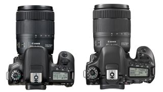 Canon 77D vs 80D