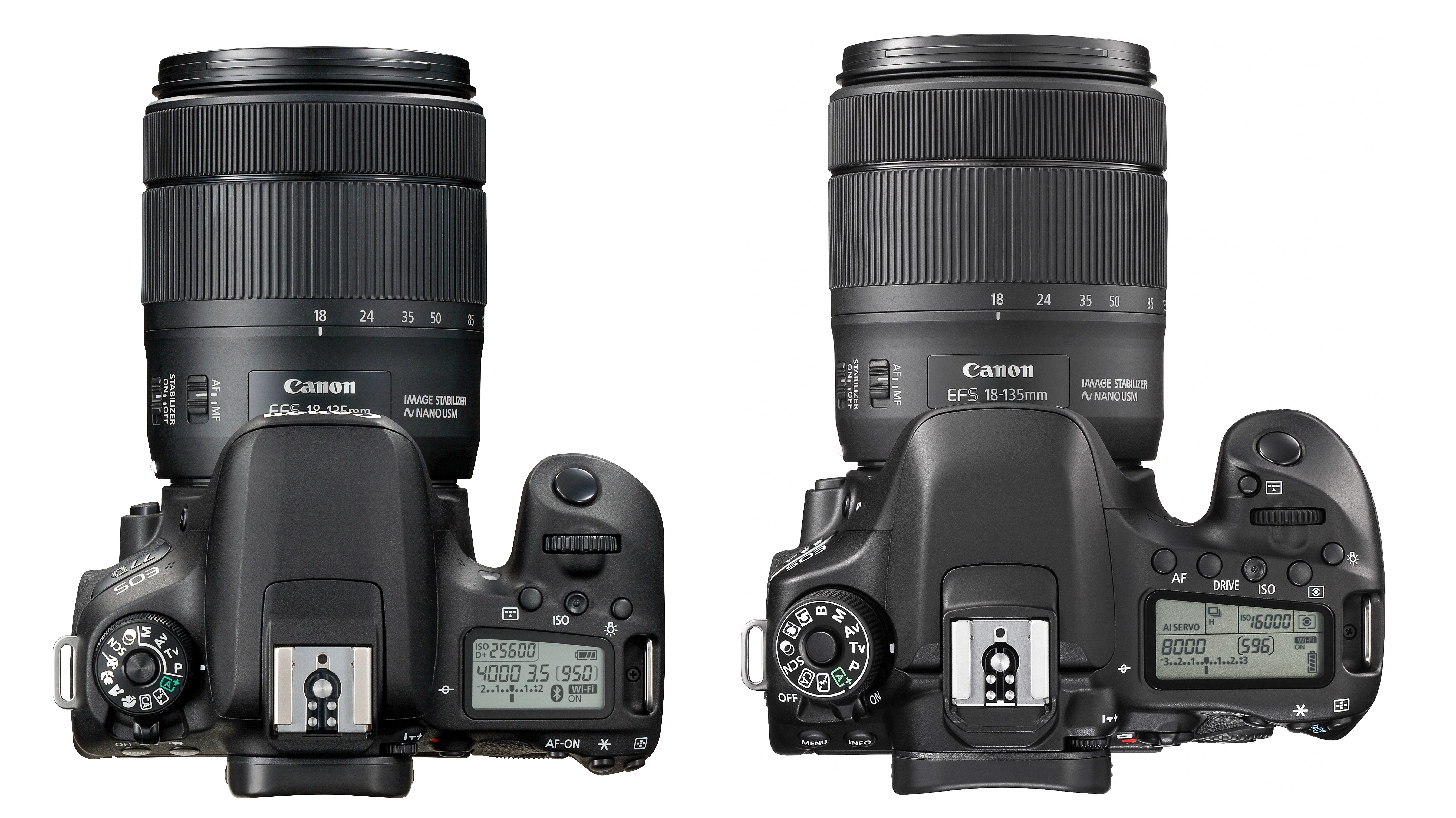 Canon vs 80D | Camera World