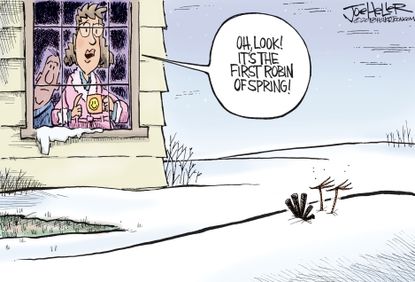 Editorial cartoon U.S. spring snow cold robin
