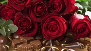 Valentine's Day discounts flowers