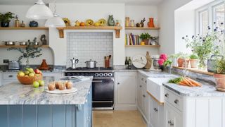 Kitchen in a renovated home with kitchen island and stone worktops, with lots of kitchen appliances, cookbooks and plants