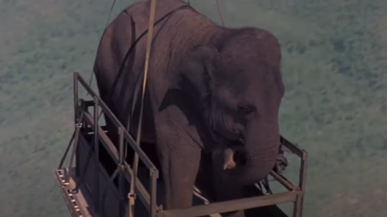 Elephant being dropped from the sky in Operation Dumbo Drop