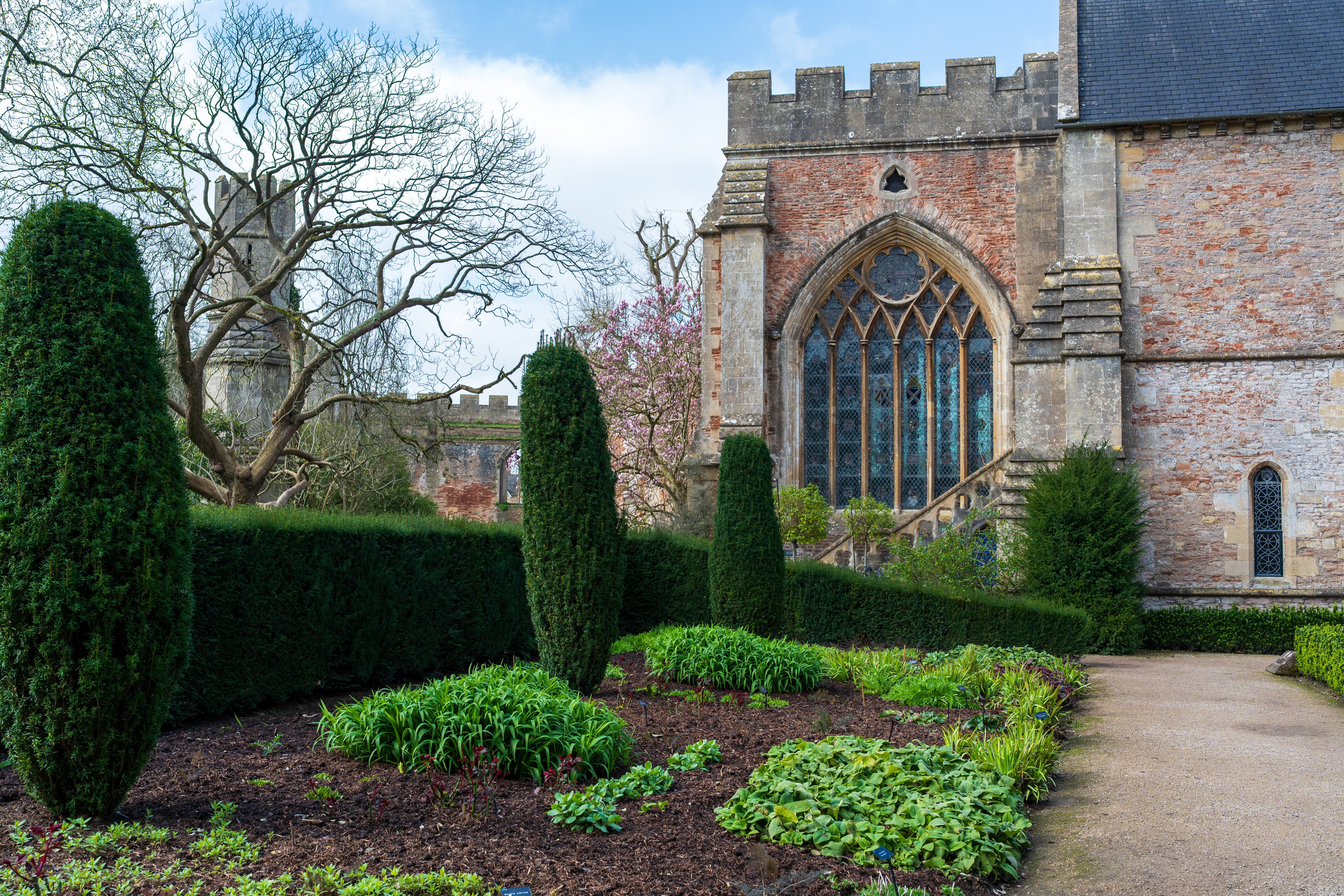 Viltrox AF 35mm f/1.8 Evo II sample shot